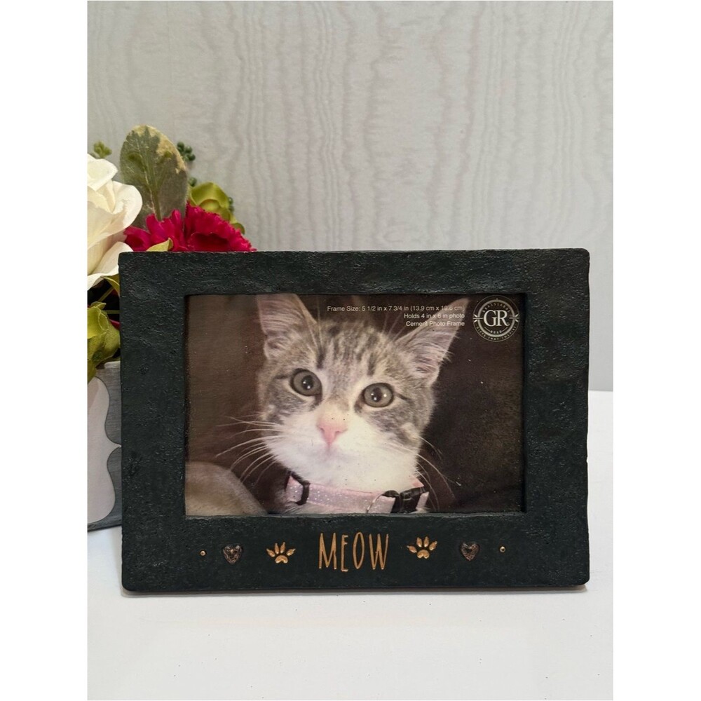 Vintage Grasslands Road MEOW Kitty Cat Picture Frame Faux Cement